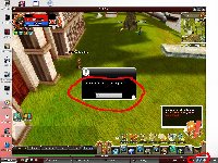 here is some of my print screen with hack detected in game but with no gameguard running